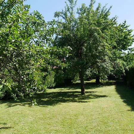 Au Gre Des Chateaux Goxwiller Exterior foto